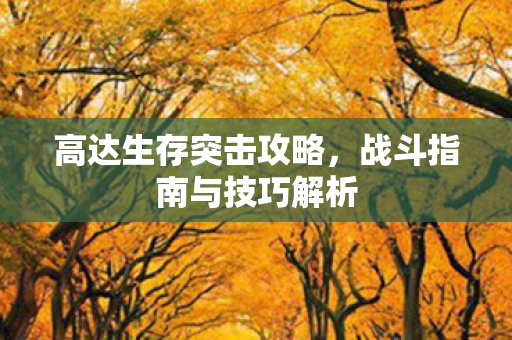 战斗指南与技巧解析图片