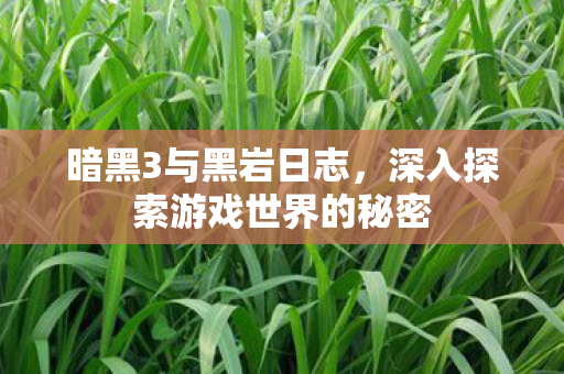 深入探索游戏世界的秘密图片