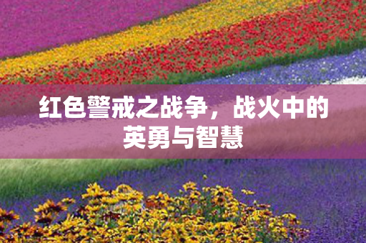 战火中的英勇与智慧图片