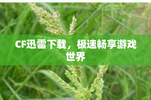 极速畅享游戏世界图片