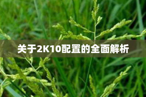 关于2K10配置的全面解析图片