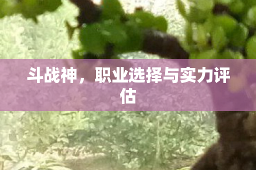 职业选择与实力评估图片