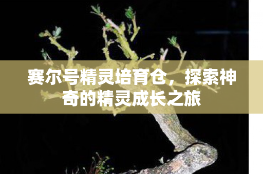探索神奇的精灵成长之旅图片