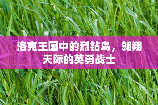 洛克王国中的烈钻鸟图片