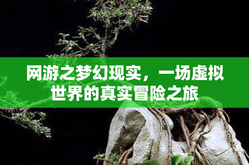 一场虚拟世界的真实冒险之旅图片