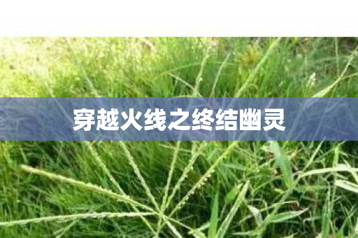穿越火线之终结幽灵图片