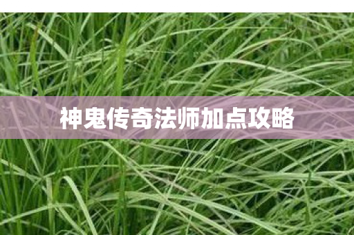 神鬼传奇法师加点攻略图片