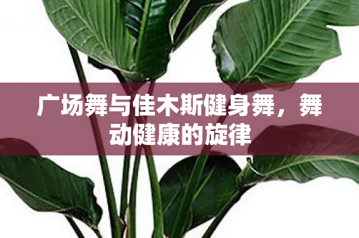 广场舞与佳木斯健身舞图片