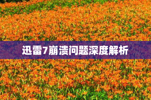 迅雷7崩溃问题深度解析图片