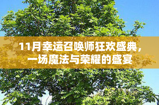 11月幸运召唤师狂欢盛典图片