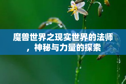 魔兽世界之现实世界的法师图片