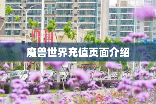 魔兽世界充值页面介绍图片