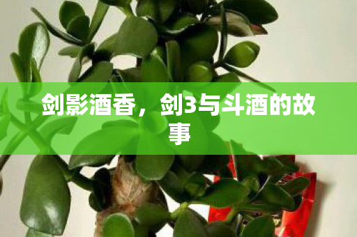 剑3与斗酒的故事图片