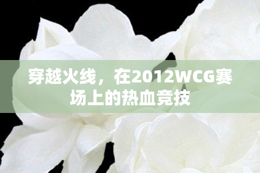 在2012WCG赛场上的热血竞技图片
