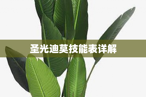 圣光迪莫技能表详解图片