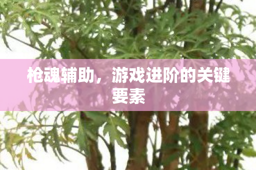 游戏进阶的关键要素图片