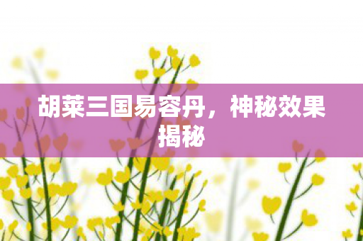 胡莱三国易容丹图片