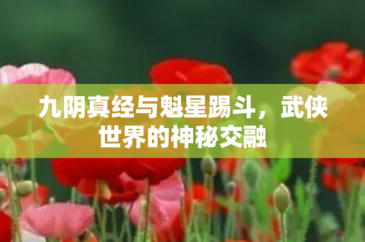 九阴真经与魁星踢斗图片