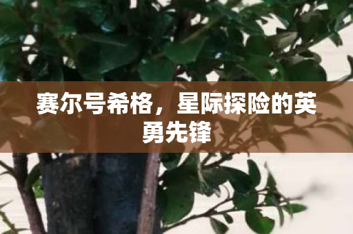 星际探险的英勇先锋图片