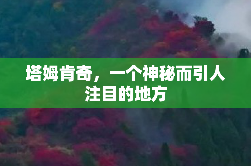 一个神秘而引人注目的地方图片
