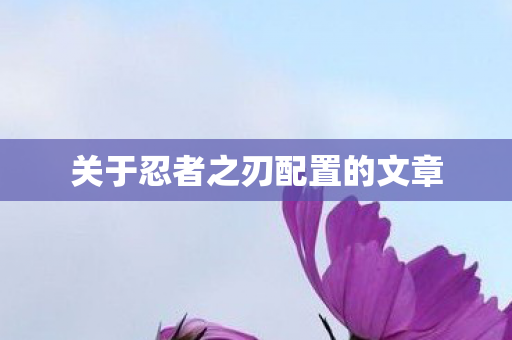 关于忍者之刃配置的文章图片
