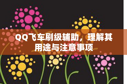 理解其用途与注意事项图片