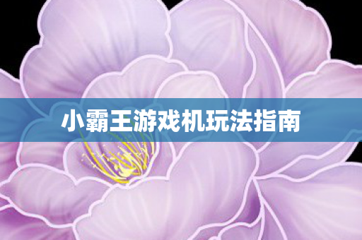 小霸王游戏机玩法指南图片