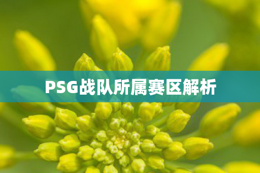 PSG战队所属赛区解析图片
