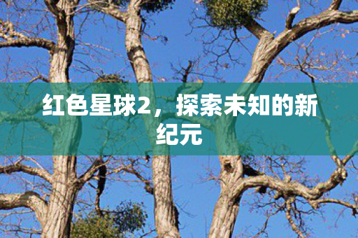 探索未知的新纪元图片