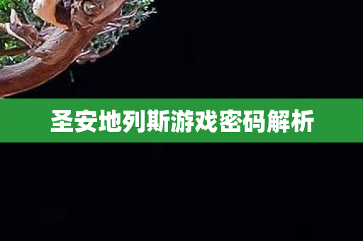 圣安地列斯游戏密码解析图片