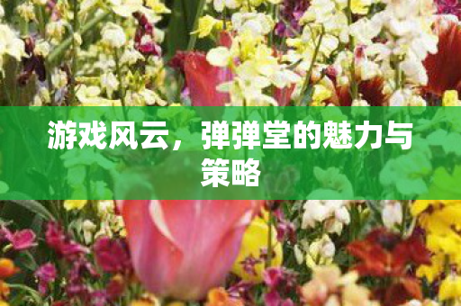 弹弹堂的魅力与策略图片