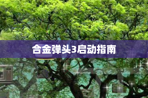 合金弹头3启动指南图片