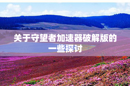 关于守望者加速器破解版的一些探讨图片