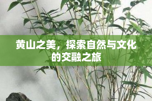 探索自然与文化的交融之旅图片