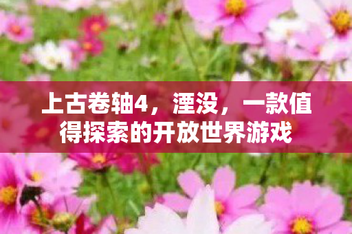 一款值得探索的开放世界游戏图片