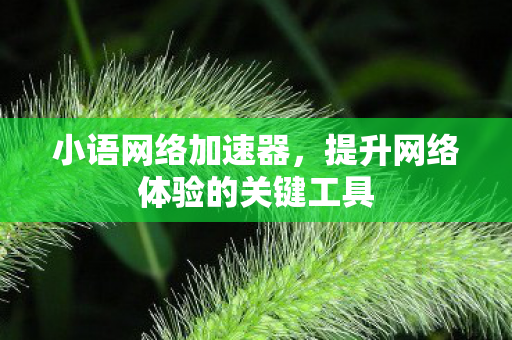提升网络体验的关键工具图片