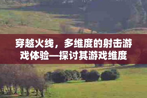 多维度的射击游戏体验图片