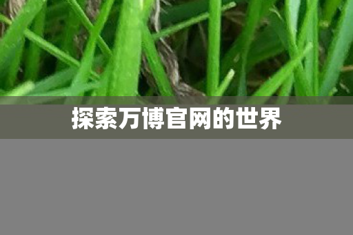 探索万博官网的世界图片