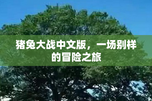 一场别样的冒险之旅图片