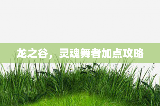 灵魂舞者加点攻略图片