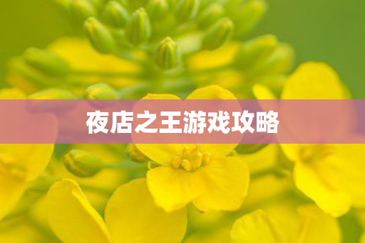 夜店之王游戏攻略图片