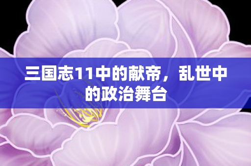三国志11中的献帝图片