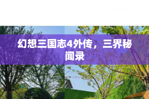 幻想三国志4外传图片