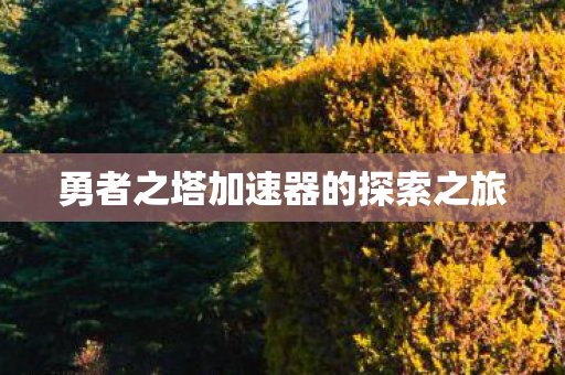 勇者之塔加速器的探索之旅图片