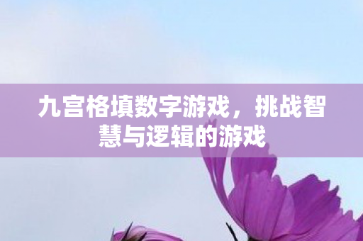挑战智慧与逻辑的游戏图片