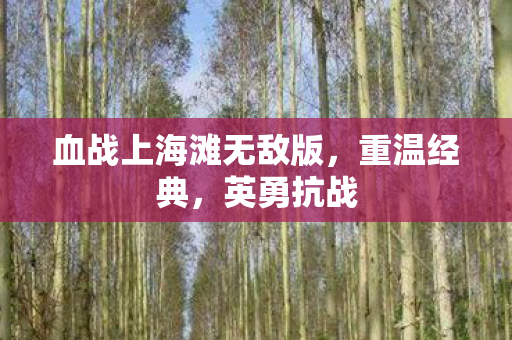 血战上海滩无敌版图片