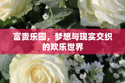 梦想与现实交织的欢乐世界图片