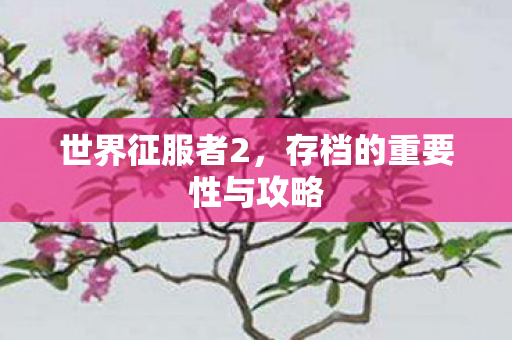 存档的重要性与攻略图片
