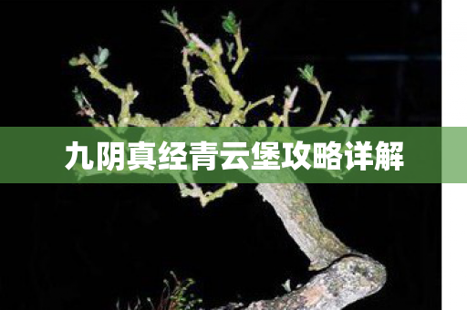 九阴真经青云堡攻略详解图片