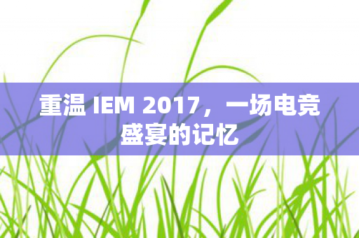 重温 IEM 2017图片